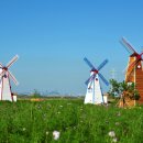 대부바다향기 테마파크 이미지