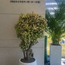 만수농장 네이버블로그