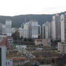 신흥로또