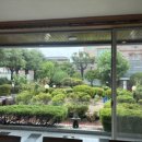 무궁화횟집 이미지