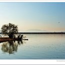 강변의 숲속 이미지