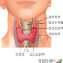 만성질환의 기저에 갑상선기능 저하증이 있는데 실제 환자의 질문과 내 답변 이미지