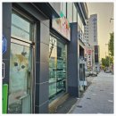 대구강아지분양 도로시펫 | 대구 애견분양 전문 [대구강아지분양 도로시펫] 강추