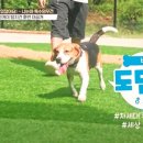 중부대로29 이미지