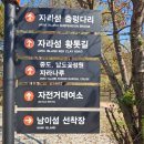 자라섬남도1(강변) | 가평역 자라섬 남도