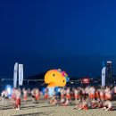 청연 수영점 | [왓츠인마이블로그 챌린지]무도런 in 부산 후기