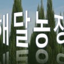 해달그린