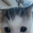 퍼스트 클럽 이미지