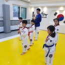 삼성 효 태권도장 이미지