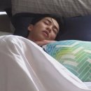 댕들