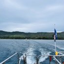 문지렌트 이미지