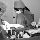 코미인의원 이미지