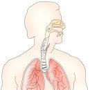 김인상한의원 이미지