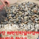 성천길 네이버블로그