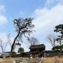 티카페청화