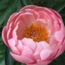 가정복지 이미지