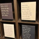 207일 루틴 글쓰기 영어공부 속초 강릉 서점투어 감성여행