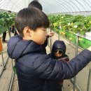 장림농원