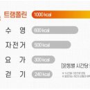 셀럽점핑 다이어트
