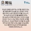 콩깍지 이미지