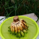 몽키바나나 이미지