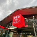 영천돌짜장