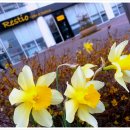 뉴라인파크 이미지