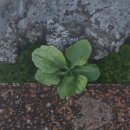 디아트허브미술학원 이미지