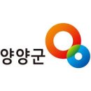 양양군청 이미지