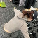 더 피지컬랩 이미지