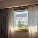[후쿠오카 혼여행] 호텔 그란돌체 하카타 텐진 공원뷰 싱글룸 숙박 후기 | 후쿠오카 숙소 추천