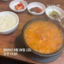 아몰랑 | 마운자로 내돈내산 19일~20일 : 아몰랑
