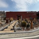 러스틱문 | 춘천애견동반카페 넓은 운동장과 특별한 실내공간도 멋있던 러스틱문 후기