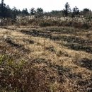 효성목장 이미지