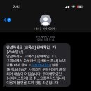 제주트리