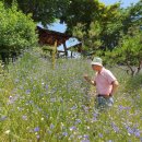 회룡1마을화장실 이미지