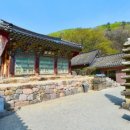 청원사