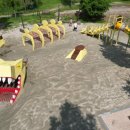 메타세쿼이아랜드 이미지