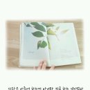 지금이순간 이미지