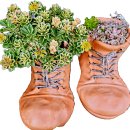 바다행정사사무소 이미지