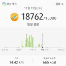 장파1리(버스 정류장) Daum카페