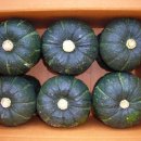 건이네 농장 이미지