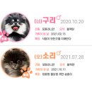 맘마멈머 이미지