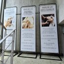 허브칼라테라피 | 대구 수성구 에스테틱 라휘게 시그니처 헤드스파 후기