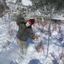 초롱농장 이미지