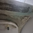 맑음펫 | 또 이용한 내돈내산 이사대학 맑음 입주청소 업체 ㅎㅅㅎ