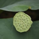 양산호수공원 이미지