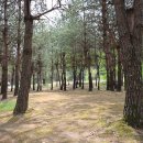 어성전야영장 이미지