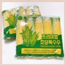 여름철 필수 간식! 백화점 퀄리티 따봉프레시 의령 꿀당 초당옥수수 솔직 후기