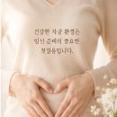 달내막창 | 동작 자궁내막이 얇다면? 착상을 준비하기 전 꼭 알아두면 좋은 이야기